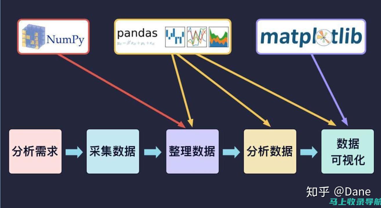 数据分析显成效，乡村振兴正当时——乡镇统计站站长年度工作总结纪实